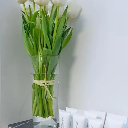 Budget 1min From Main Square * Gliwice