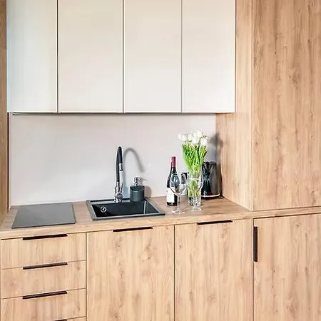 Appartement Budget 1min From Main Square Gliwice