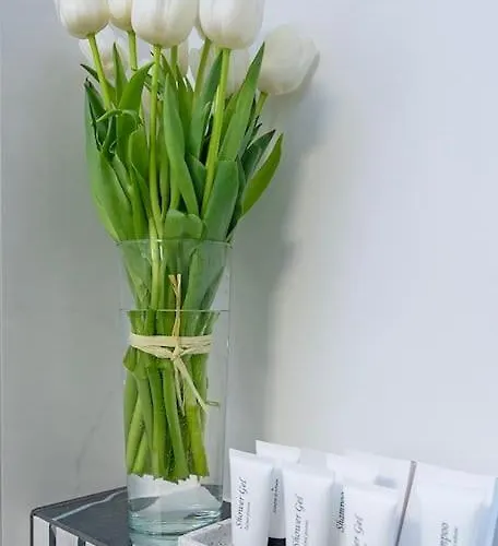 Budget 1min From Main Square * Γκλίβιτσε