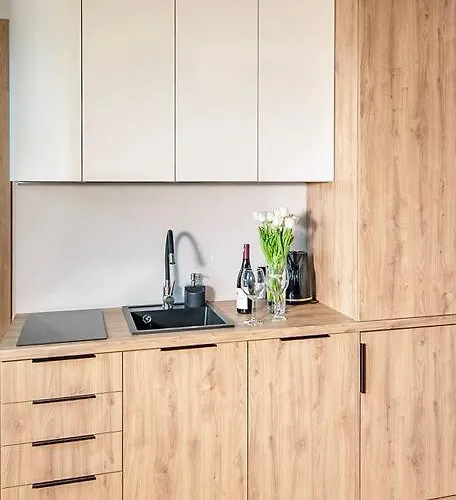 Διαμέρισμα Budget 1min From Main Square Γκλίβιτσε